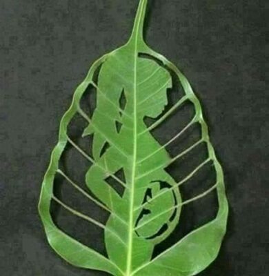 WhatsApp Image 2024-09-23 at 20.11.11_e1329caa.jpg